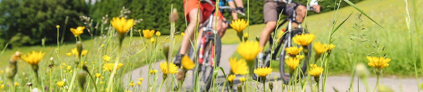 Fahrradtour im Frhjahr