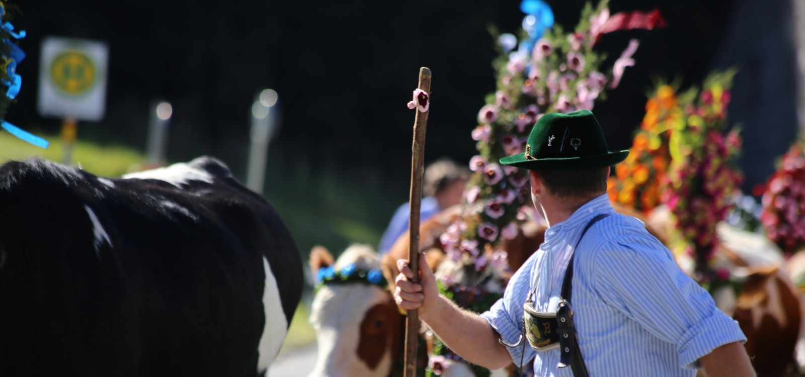Almabtrieb Berchtesgaden